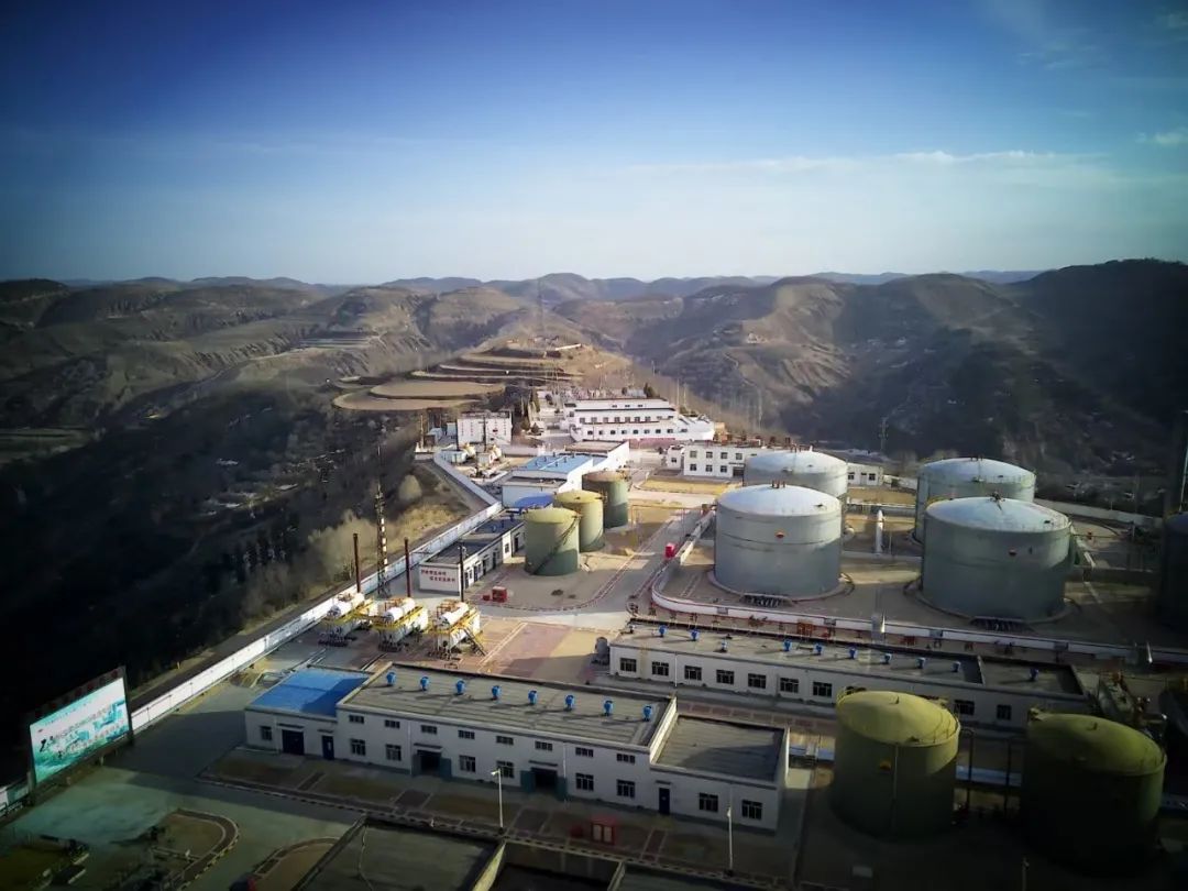 「新春·基层故事」顾燕的年，遗憾很多