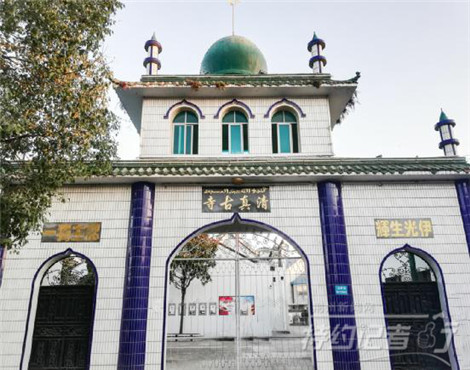 特约记者行,特约记者团