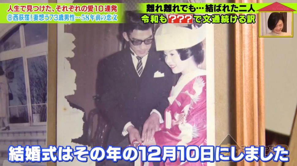 在泳池一见钟情，为妻子毅然辞职，这是一段持续58年来自日本的神仙狗粮…