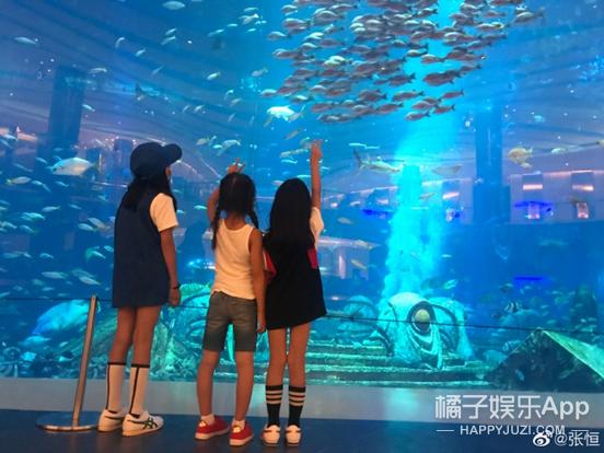 还珠格格小燕子和塞娅公主打架,还珠格格第一部塞娅公主身孕