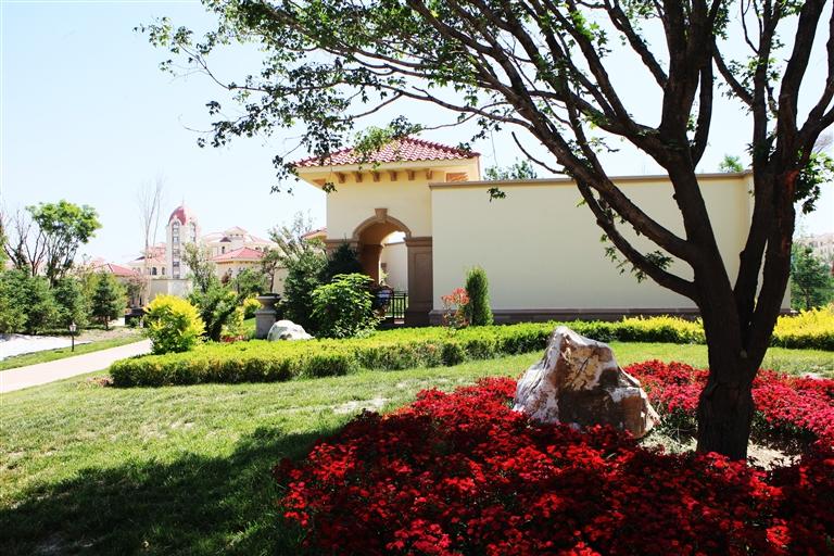 高新区项目巡礼,兰州市发展成就巡礼主题活动启动