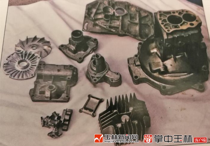 琴鸟跳舞视频,琴鸟飞行图片