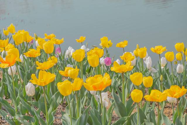 绘画我和春天有个约会,亲子绘画我和春天有个约会