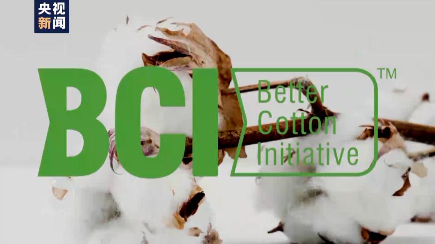 白棉花有假的吗,黑心棉被调查视频