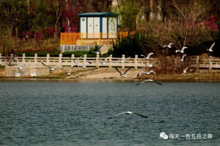 清明时节万物清新,清明万物新