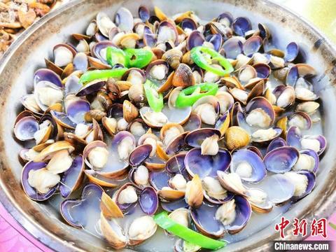 江门正宗黄沙蚬,广东黄沙蚬最肥美的季节