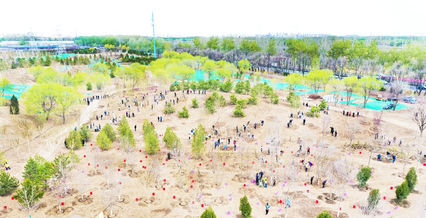 让森林融入城市让城市拥抱森林,北京城市副中心绿心