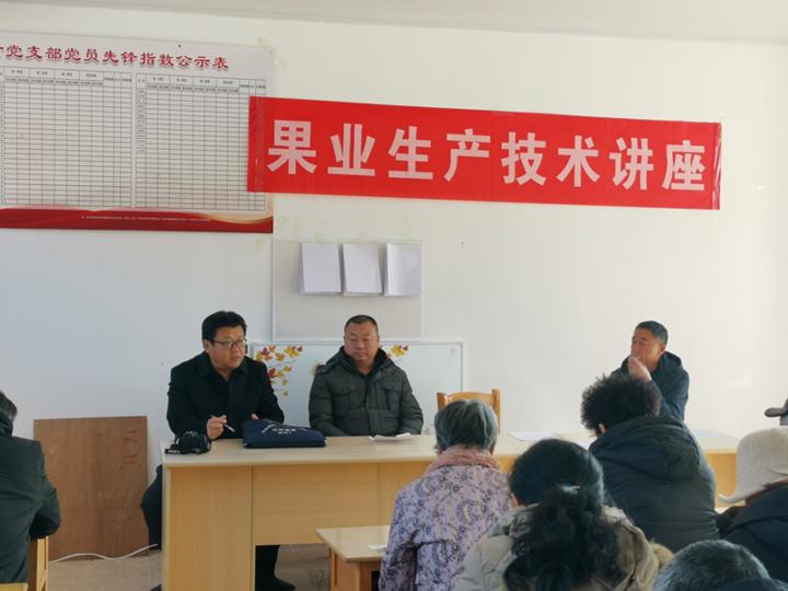 苹果种子的故事教案,苹果种子的故事大全