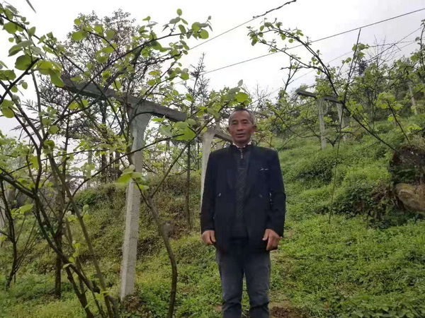 大方：返乡农民工带领村民奔富路