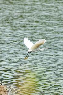 义乌美食及景点,义乌一日游必打卡美食