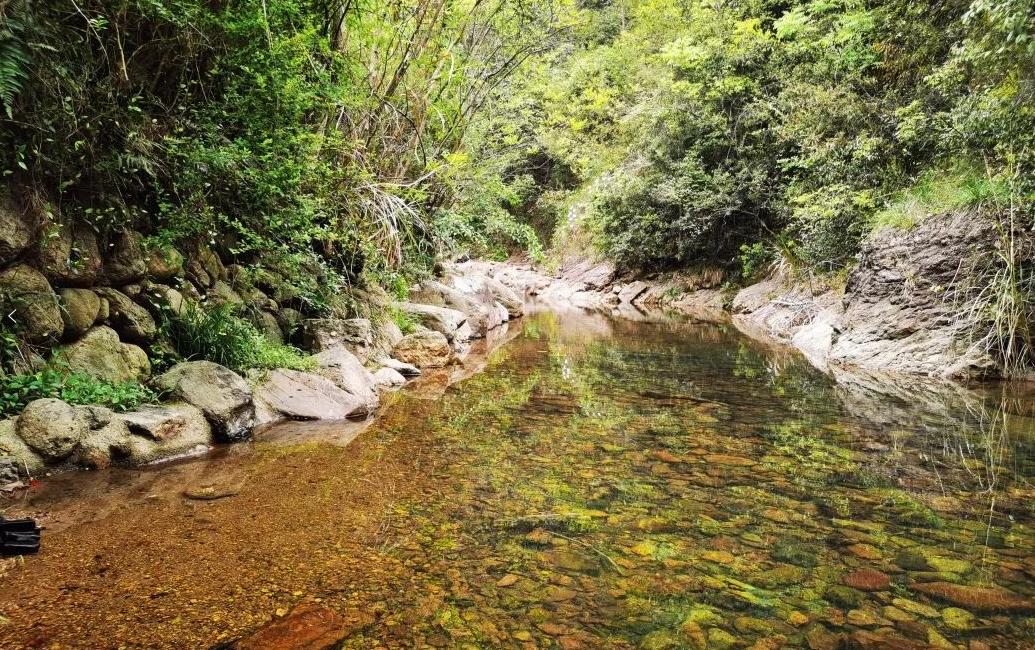 义乌美食及景点,义乌一日游必打卡美食