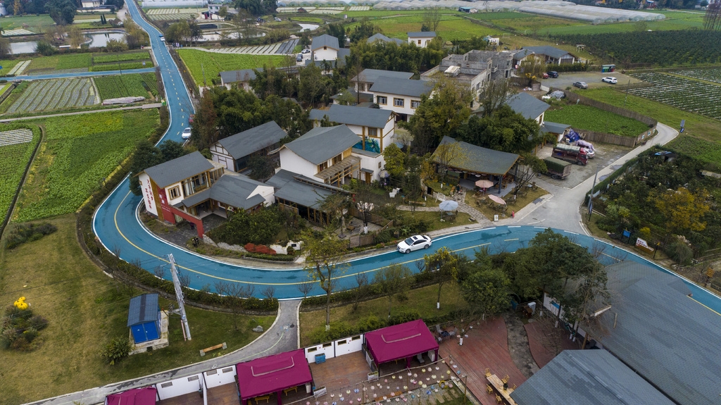 解开成都农业问号⑥|打造“乡村共同体”,新都区这个庭院有何样本意义?