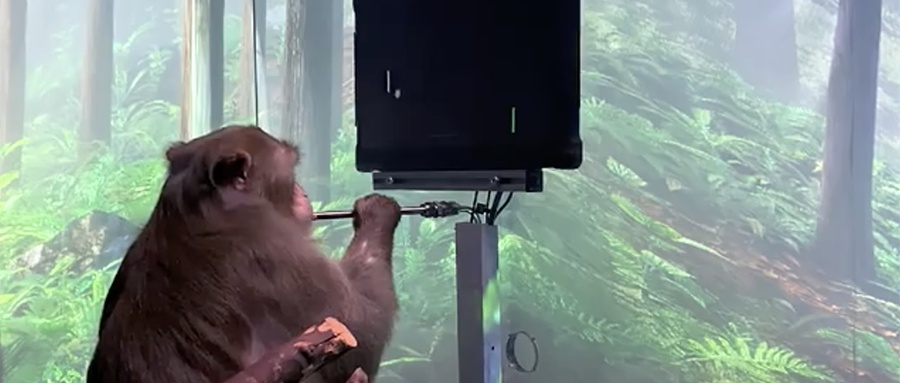 鏈潵鍛煎暩鑰屾潵娣卞害瑙ｆ瀽,鏈潵鍛煎暩鑰屾潵瑙嗛