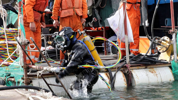 寻隐者不遇故事版,寻隐者不遇故事演绎