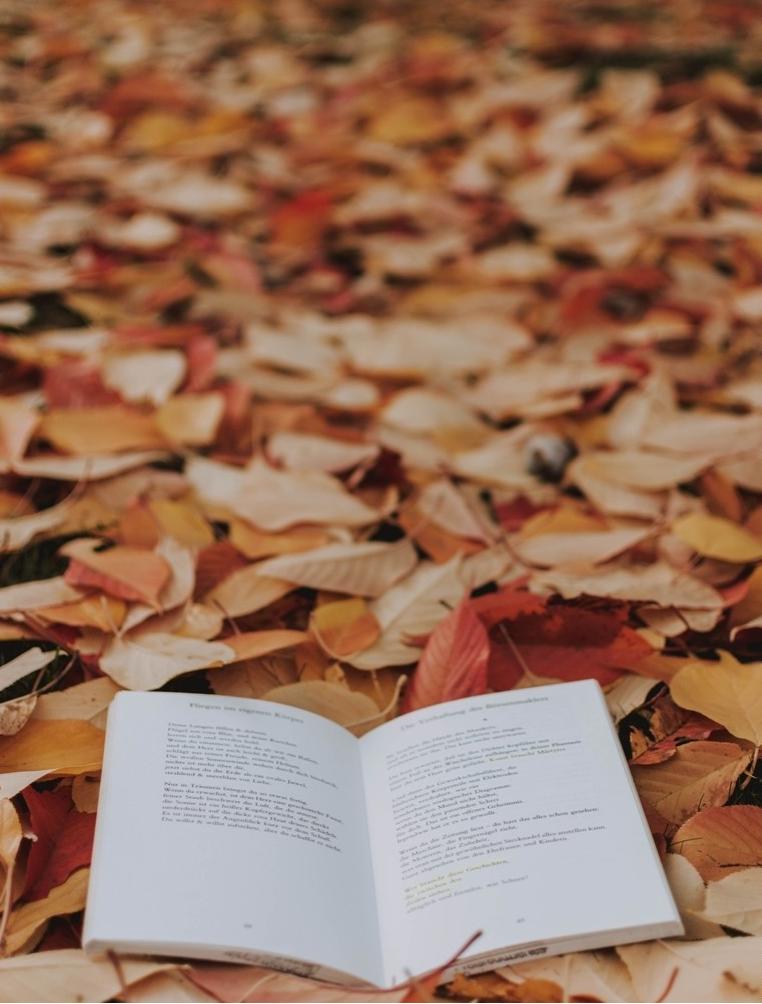 孔夫子旧书网能卖电子书,在孔夫子旧书网买书可靠吗