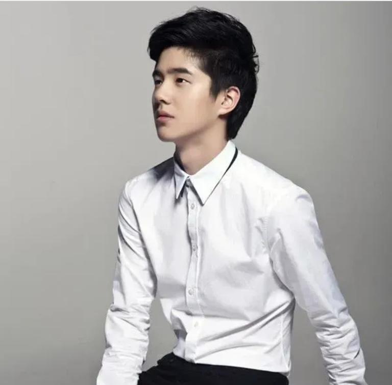 整容失败的男星们,娱乐圈整容艺人