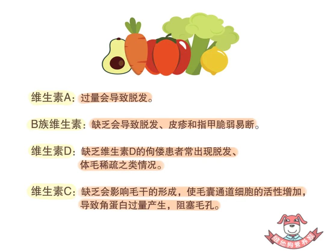 发际线突然变高能补救回来吗,我的发际线该怎么补救