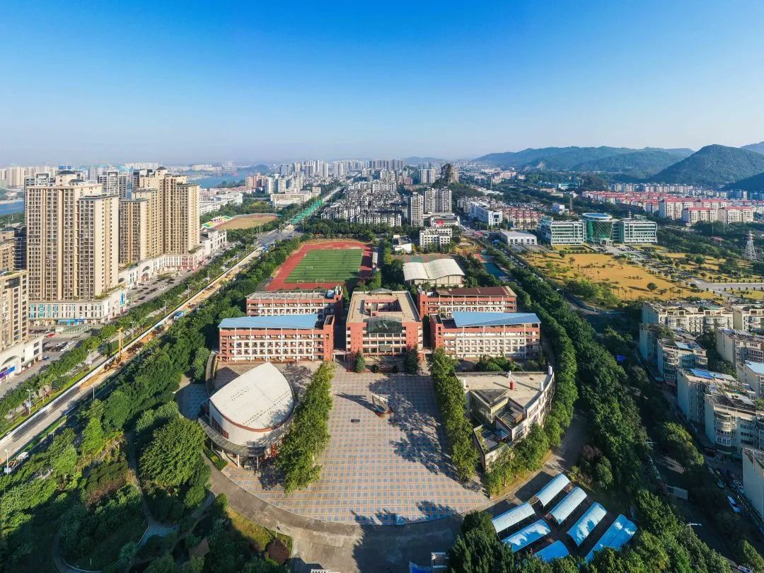 靠实力火的视频,凭实力火起来