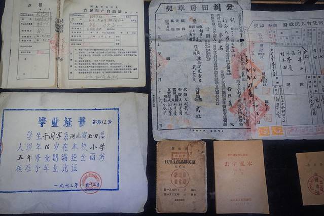 唐山出海打鱼一日游,唐山出海捕鱼旅游