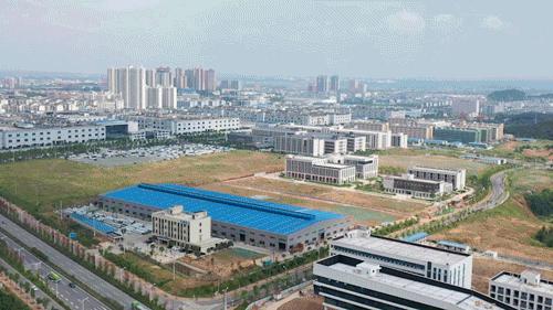 动图运动会,动图赛龙舟