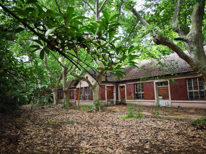 西溪路56号在哪里,西溪路56号