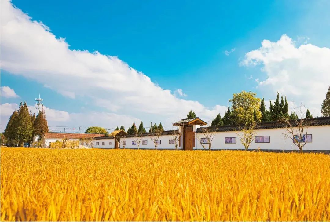 发现闵行的美,发现上海文化地标