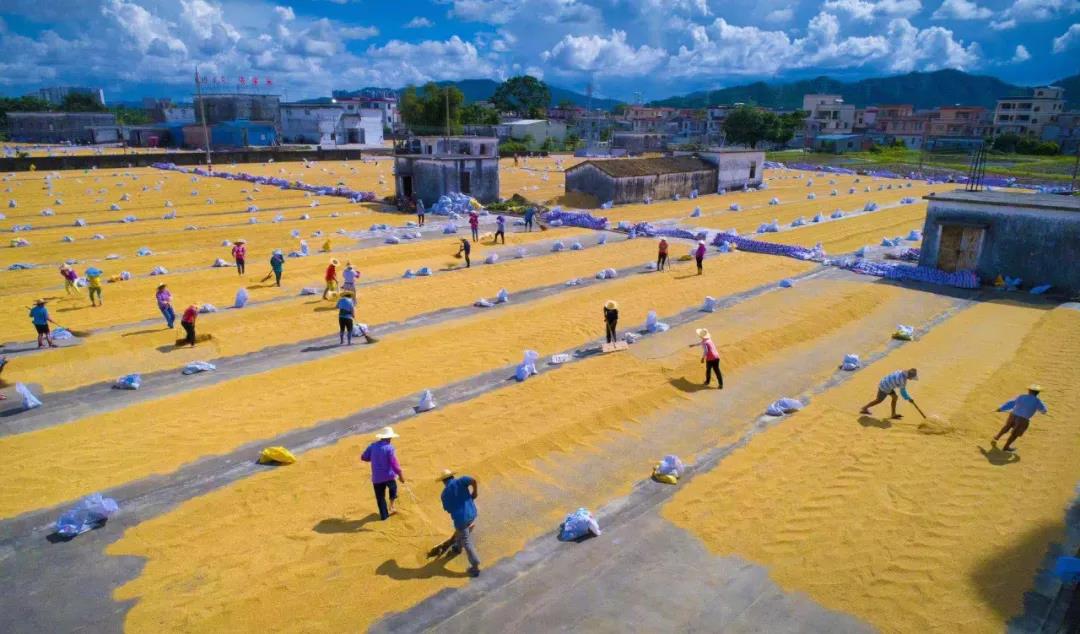 向坤山‖崖口村:城里人向往的地方