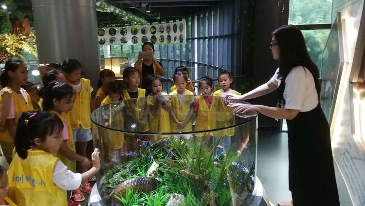 重庆自然博物馆动物标本,天津自然博物馆动物标本展区图片