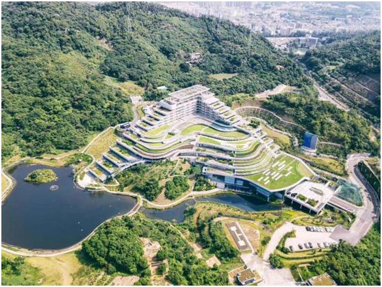 华大基因上市,深圳市华大基因细胞科技有限公司