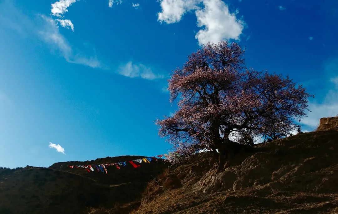 甘孜哪些地方是高原,甘孜真正好玩的地方