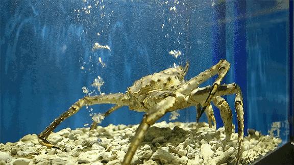 福州哪里买新鲜又便宜的海鲜,福州海鲜哪里买最便宜