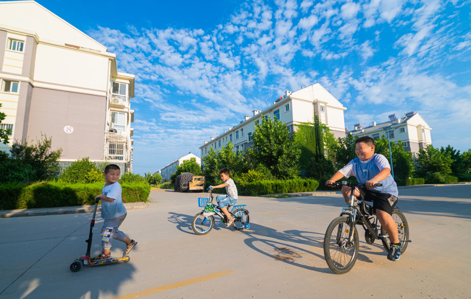 集体收入10年翻15倍！禹城禹兴街道夏季社区：大棚绿正浓乡村产业兴