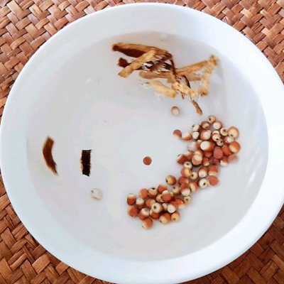 冬瓜菜干老鸭汤,老鸭汤最美家常菜