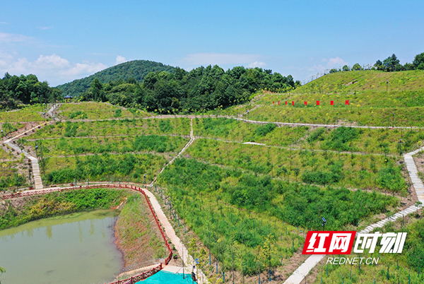 常宁市保护环境,常宁保护生态环境