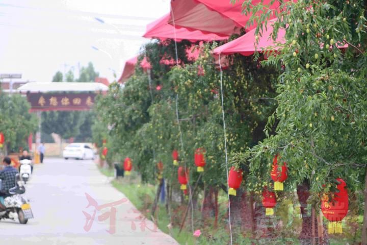 新郑枣乡在哪里,新郑枣乡