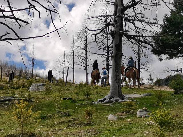 康定情歌木格措风景区自驾攻略,康定情歌木格措风景区舞蹈