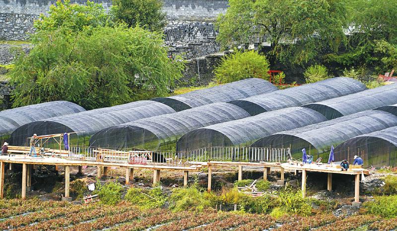 九龙县对口帮扶工作,青白江市扶贫