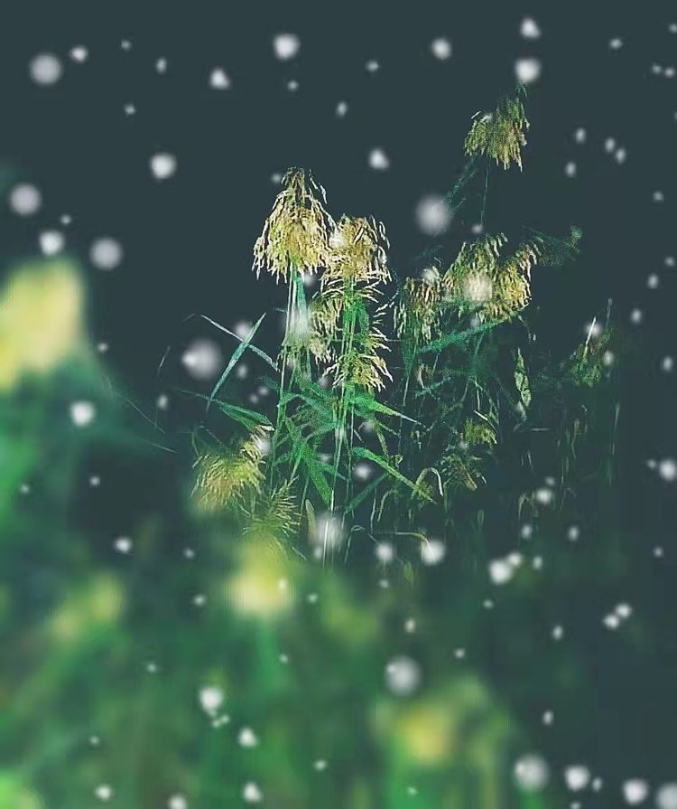 从电影《长津湖》想到的/赵顺年