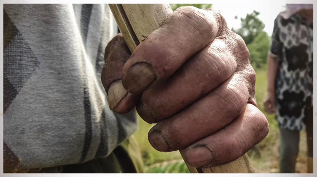 这位共和国将军的退休生活，令人震撼