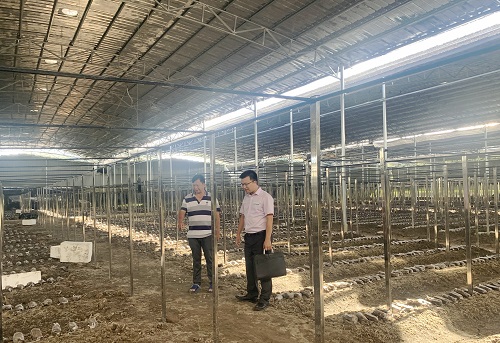 农行普惠金融服务支持乡村振兴,农行为三农注入金融活水