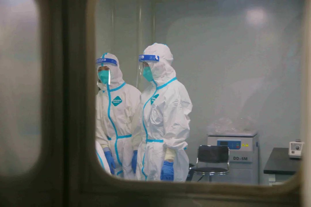 新冠肺炎众志成城,众志成城中国抗击新冠肺炎纪实