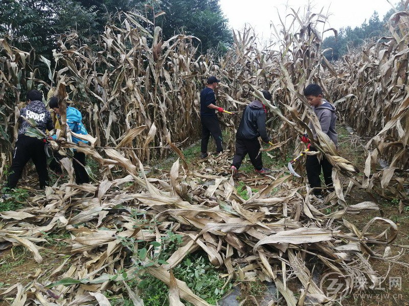 靖外明德小学创新模式,宣威市靖外明德小学教学质量