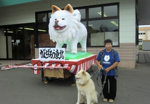 日本网红狗狗去世,日本狗死了