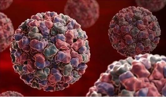 新冠肺炎属于“自限性疾病”，可为何很多患者不能如期自愈？