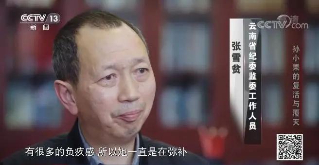 社会与法孙小果,社会评论孙小果