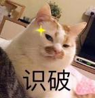 雅思过期了还可以写在简历上吗,雅思过期了面试还能用吗