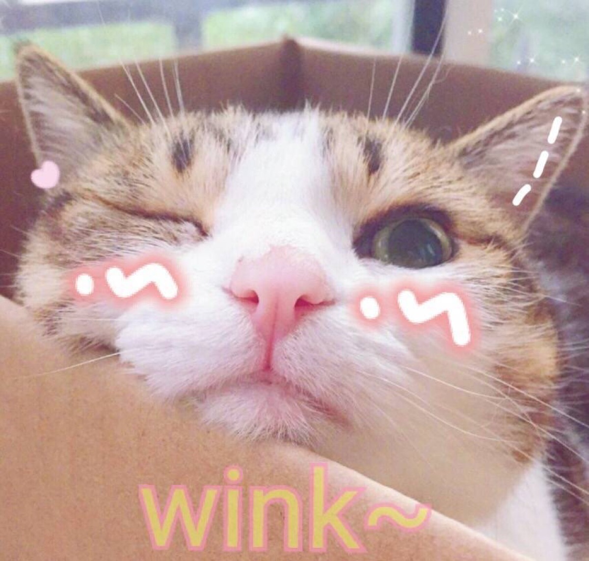 玫瑰豆沙界的“四巨头”，dior720黄皮天菜，YSL302是后起之秀