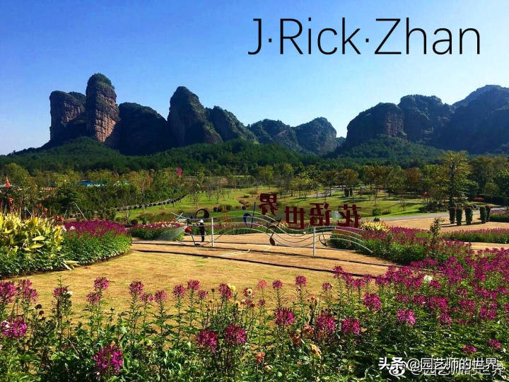 怎样种植草坪技术,果岭草坪的种植养护方法及技巧