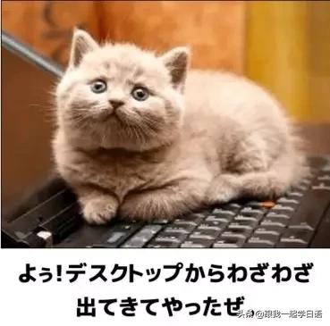 挑捡和挑拣有什么不同,抬杠和辩论有什么不同