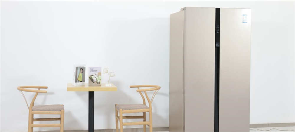 教你选净味冰箱,除菌净味好的冰箱